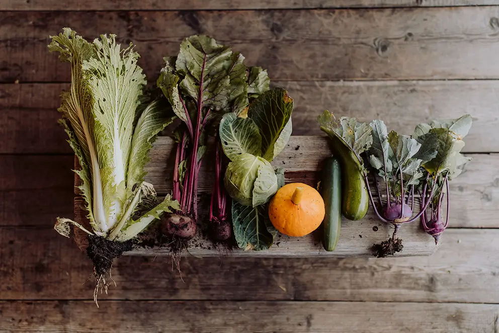 loj-wald-see-beet_01